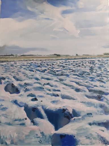 View Across Helpringham Fen - February 2021