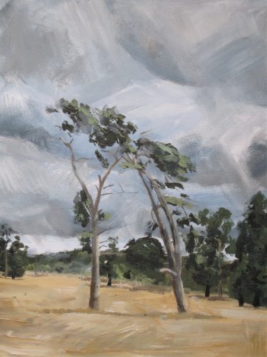 Trees at Shrubland Hall 1995