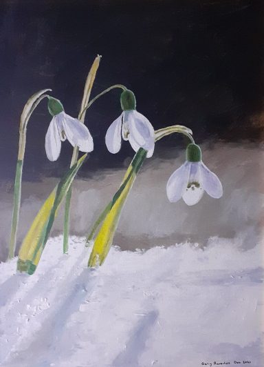 Snowdrops