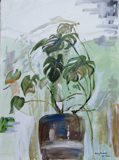 Cheese Plant in my Studio - October 2024