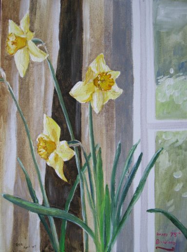 Daffodils - April 2007