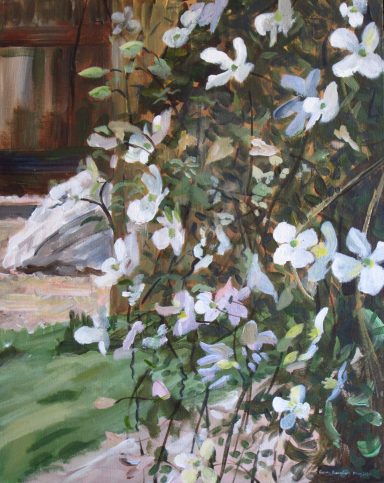 Clematis - May 2020