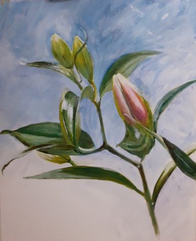 Lilies - November 2020