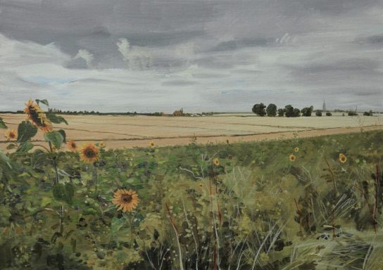 Sunflowers on the Fen Looking Towards Helpringham Fen 2021