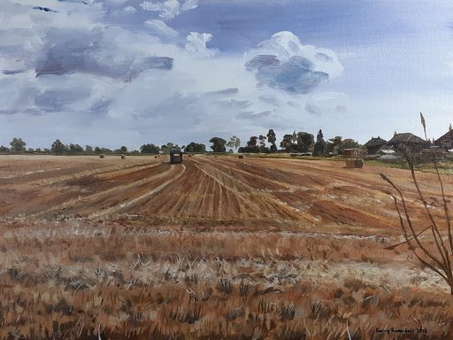 Harvest Time - Helpringham Fen 2022