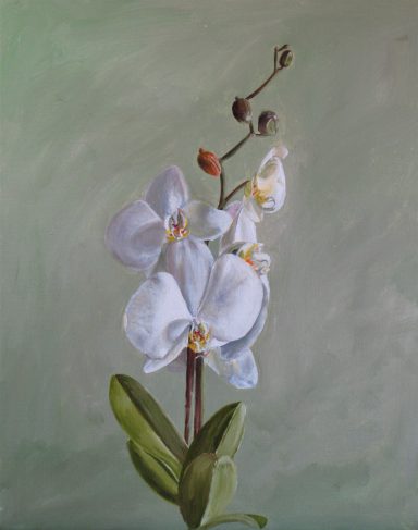White Orchid - March 2020